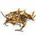 TCM, Herbs & Tonics
