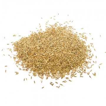 Dried Fennel Seeds (200g)