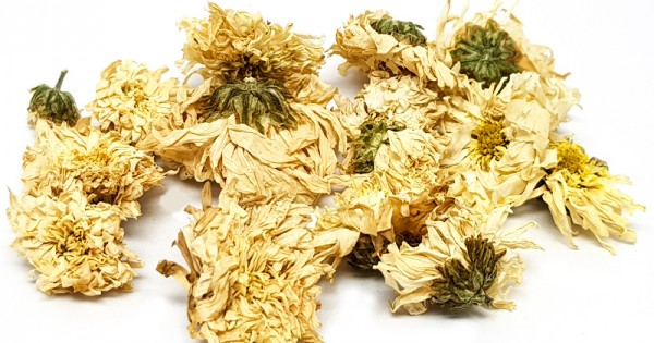 Chrysanthemum Flower, Herbs & Spice