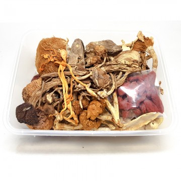 Wild Fungus Soup Pack