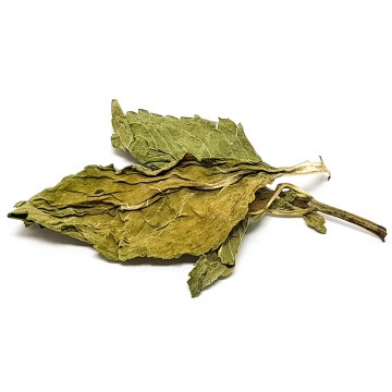 Mint Leaf