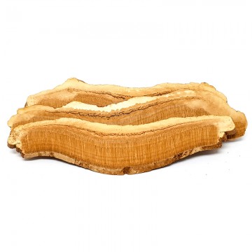 Lingzhi Slices