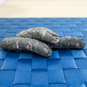 Papua New Guinea Medium Sized Sea Cucumber