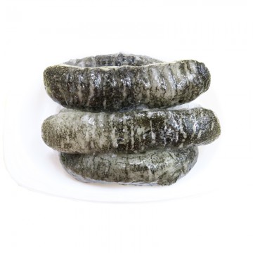 Fresh Frozen Sea Cucumber