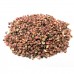 Spices & Herbs
