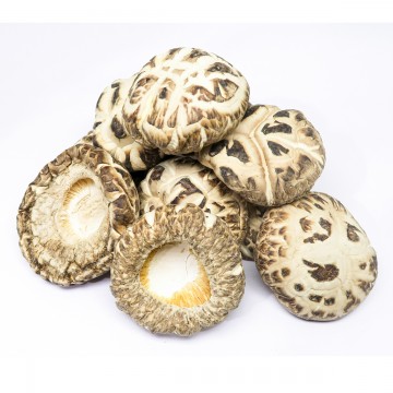 Dried Flower Mushroom (stalk-less)